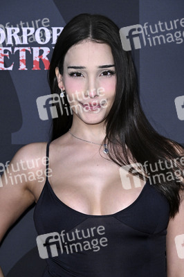 Filmpremiere 'Corporate Retreat' in Burbank