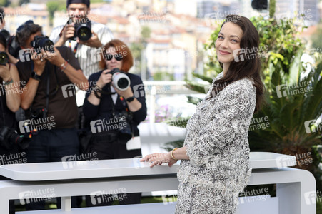 Photocall 'Roma Elastica', Cannes Film Festival 2026