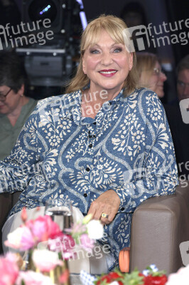 'NDR Talk Show' in Hamburg