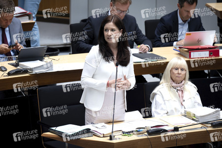 87. Plenarsitzung des Berliner Senat in Berlin