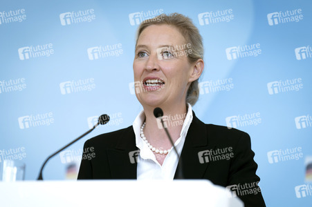 Fraktionssitzung der AfD-Bundestagsfraktion in Berlin