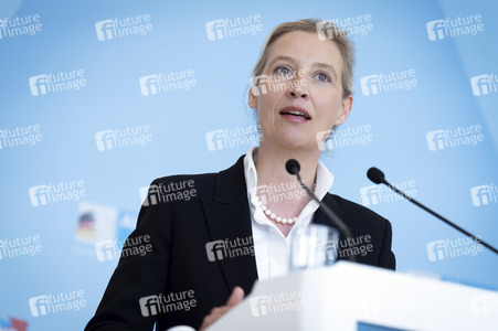 Fraktionssitzung der AfD-Bundestagsfraktion in Berlin