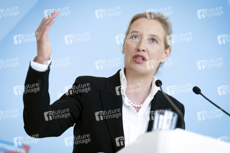 Fraktionssitzung der AfD-Bundestagsfraktion in Berlin
