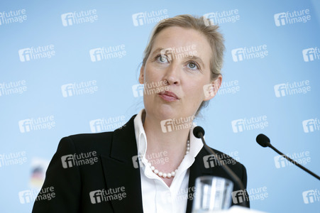 Fraktionssitzung der AfD-Bundestagsfraktion in Berlin