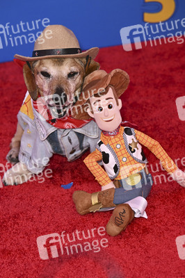 Filmpremiere 'Toy Story 5' in Los Angeles