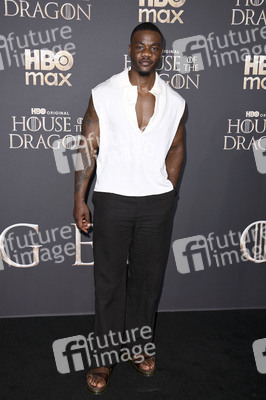 Season 3 Premiere 'House of the Dragon' in Berlin