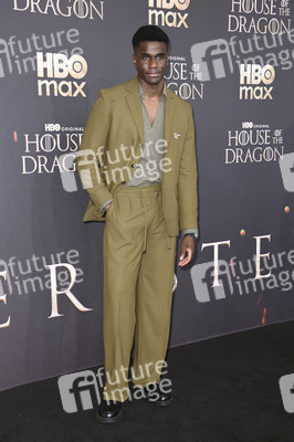 Season 3 Premiere 'House of the Dragon' in Berlin
