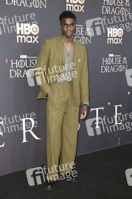Season 3 Premiere 'House of the Dragon' in Berlin