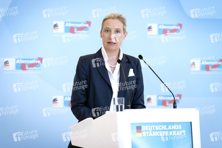 Fraktionssitzung der AfD-Bundestagsfraktion in Berlin