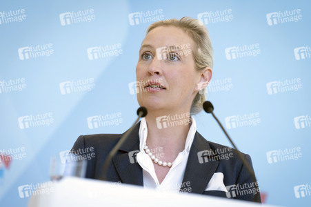 Fraktionssitzung der AfD-Bundestagsfraktion in Berlin
