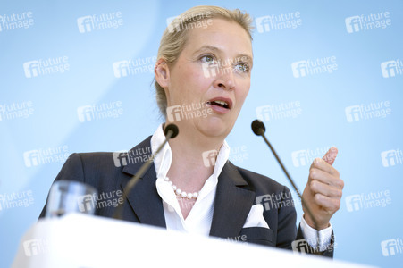 Fraktionssitzung der AfD-Bundestagsfraktion in Berlin