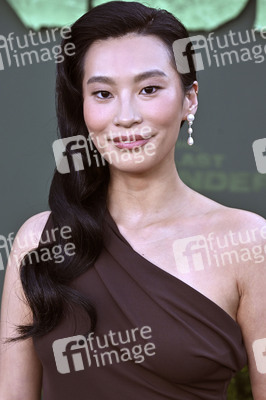 Season 2 Premiere 'Avatar - Der Herr der Elemente' in Los Angeles