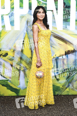 Serpentine Gallery Summer Party 2026