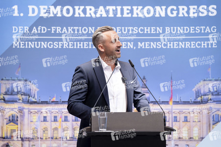 1. Demokratiekongress der AfD-Fraktion im Bundestag in Berlin