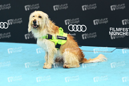 Filmpremiere 'Chamäleon', Filmfest München 2026