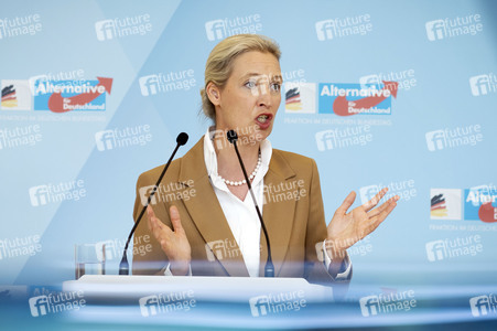 Fraktionssitzung der AfD-Bundestagsfraktion in Berlin