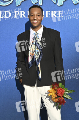 Fimpremiere 'Vaiana' in Los Angeles