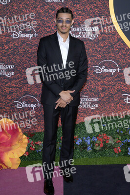 Filmpremiere 'Descendants 5' in Los Angeles