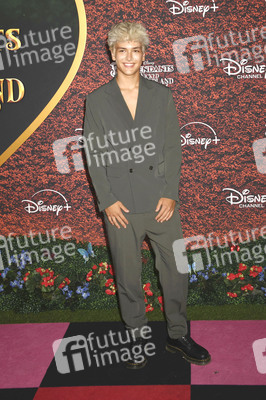 Filmpremiere 'Descendants 5' in Los Angeles