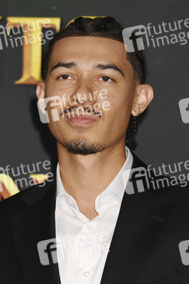 Filmpremiere 'Descendants 5' in Los Angeles