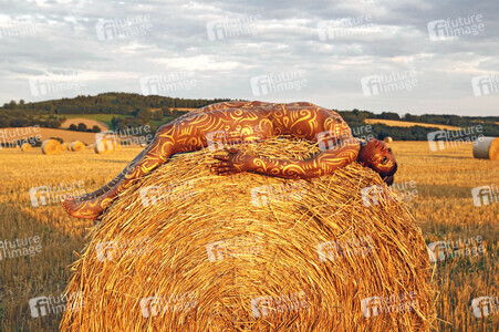 NATURE ART: Auf einem Feld in der Abendsonne / On a Field in the Evening Sun Bodypainting