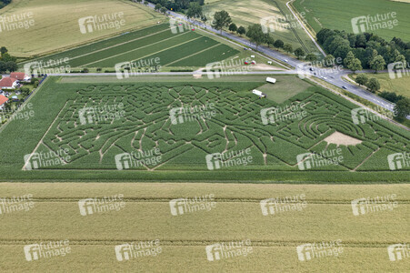 Maislabyrinth in Nettelrede