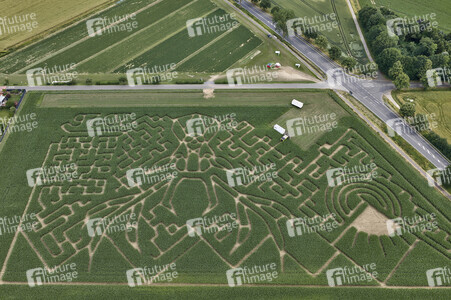 Maislabyrinth in Nettelrede