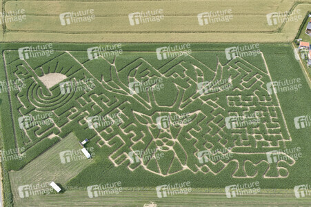Maislabyrinth in Nettelrede