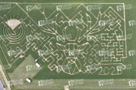 Maislabyrinth in Nettelrede