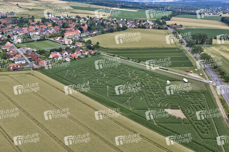 Maislabyrinth in Nettelrede