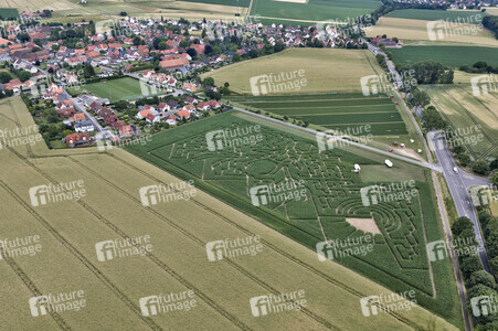 Maislabyrinth in Nettelrede