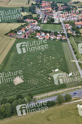 Maislabyrinth in Nettelrede