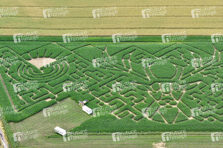 Maislabyrinth in Nettelrede