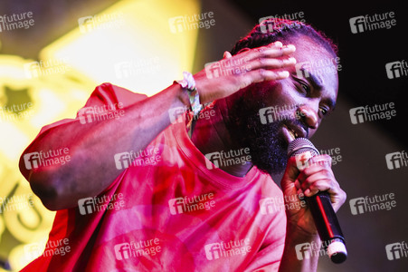 WOMAD - The World's Festival in Neston