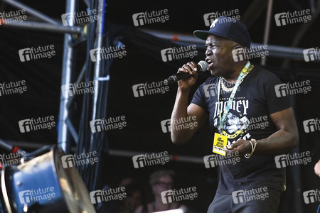 WOMAD - The World's Festival in Neston