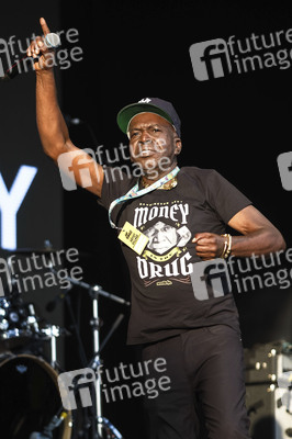 WOMAD - The World's Festival in Neston