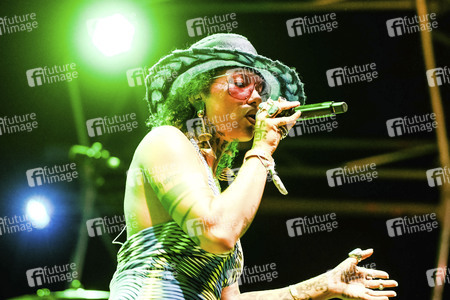 WOMAD - The World's Festival in Neston