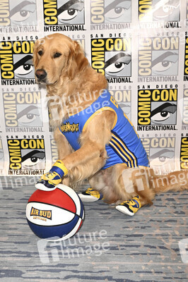 Photocall 'Air Bud Returns', San Diego Comic-Con International 2026
