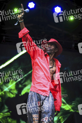 WOMAD - The World's Festival in Neston