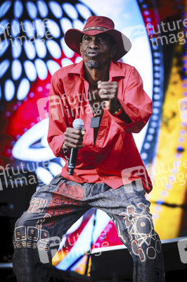 WOMAD - The World's Festival in Neston