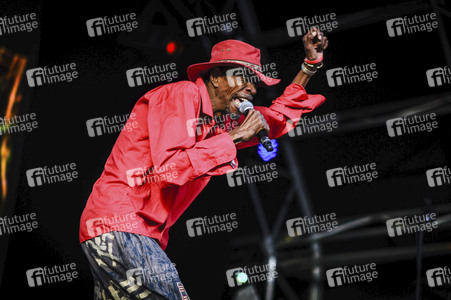 WOMAD - The World's Festival in Neston