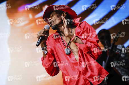 WOMAD - The World's Festival in Neston