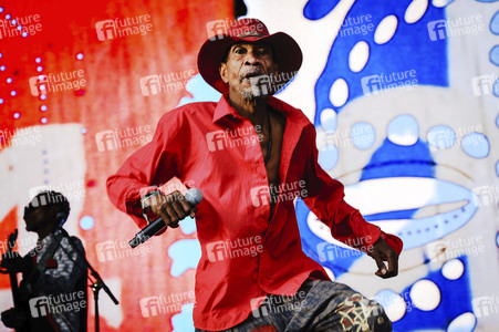 WOMAD - The World's Festival in Neston