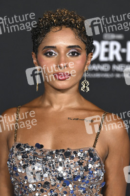 Filmpremiere 'Spider-Man: Brand New Day' in Los Angeles