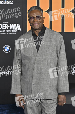 Filmpremiere 'Spider-Man: Brand New Day' in Los Angeles