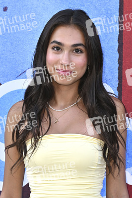 Filmpremiere 'Ice Cream Man' in Los Angeles