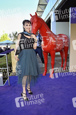 Media Night der FEI World Championships Aachen 2026
