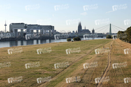 Historisches Niedrigwasser im Rhein in Köln