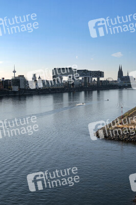 Historisches Niedrigwasser im Rhein in Köln