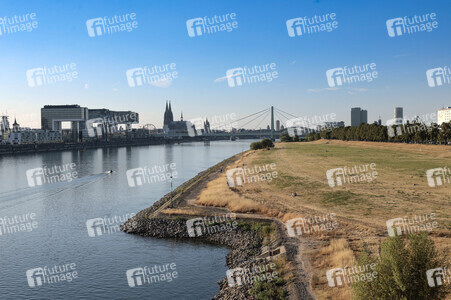 Historisches Niedrigwasser im Rhein in Köln